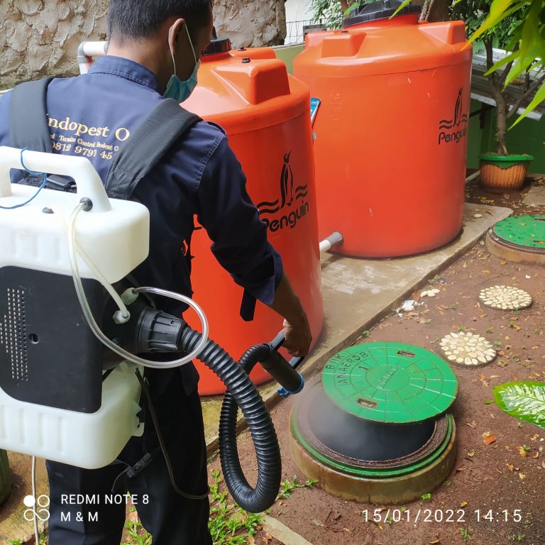 52efde6a-11e7-4f67-bab8-e5780308f183