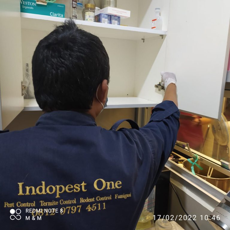 a13e76c5-d7e1-4585-bc18-04130f0808ae