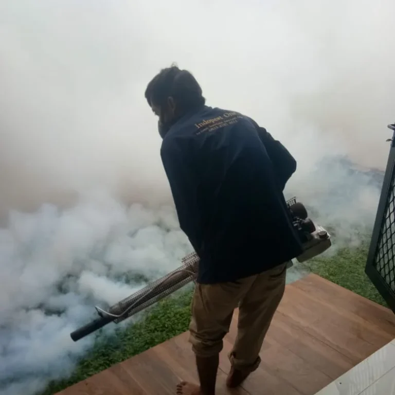 03f13635-5ba9-4a94-9fb8-59593e8e7d1c