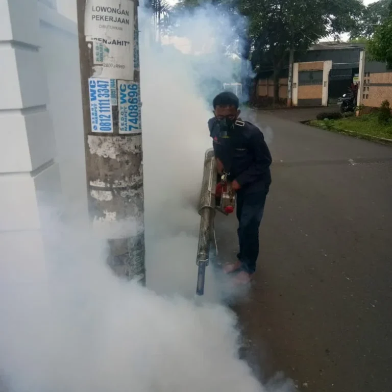 7e699c3d-a08d-4d38-a4b0-8f7f7aab252e